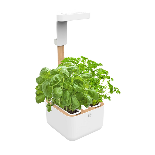 Botaneo® Indoor Garden White
