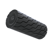 Theragun Wave Roller