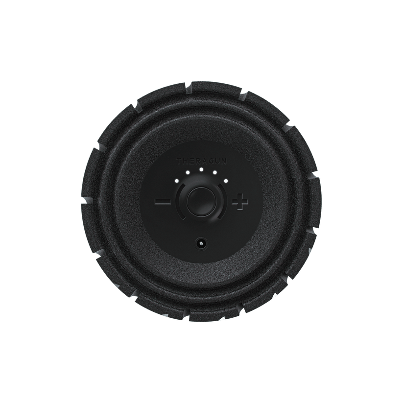 Theragun Wave Roller