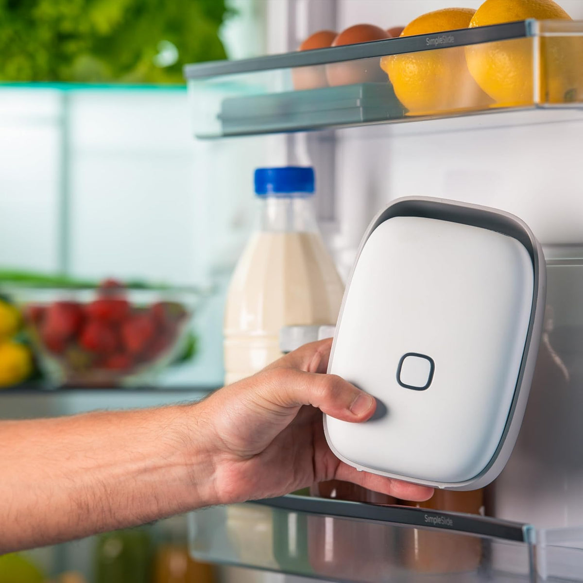 Vitesy  Shelfy Fridge Purifier