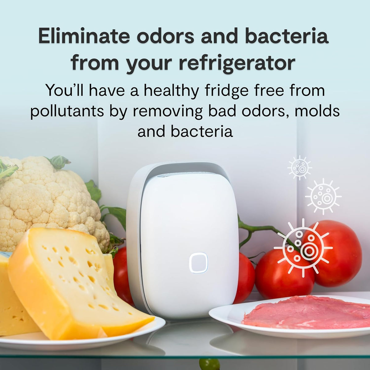 Vitesy  Shelfy Fridge Purifier