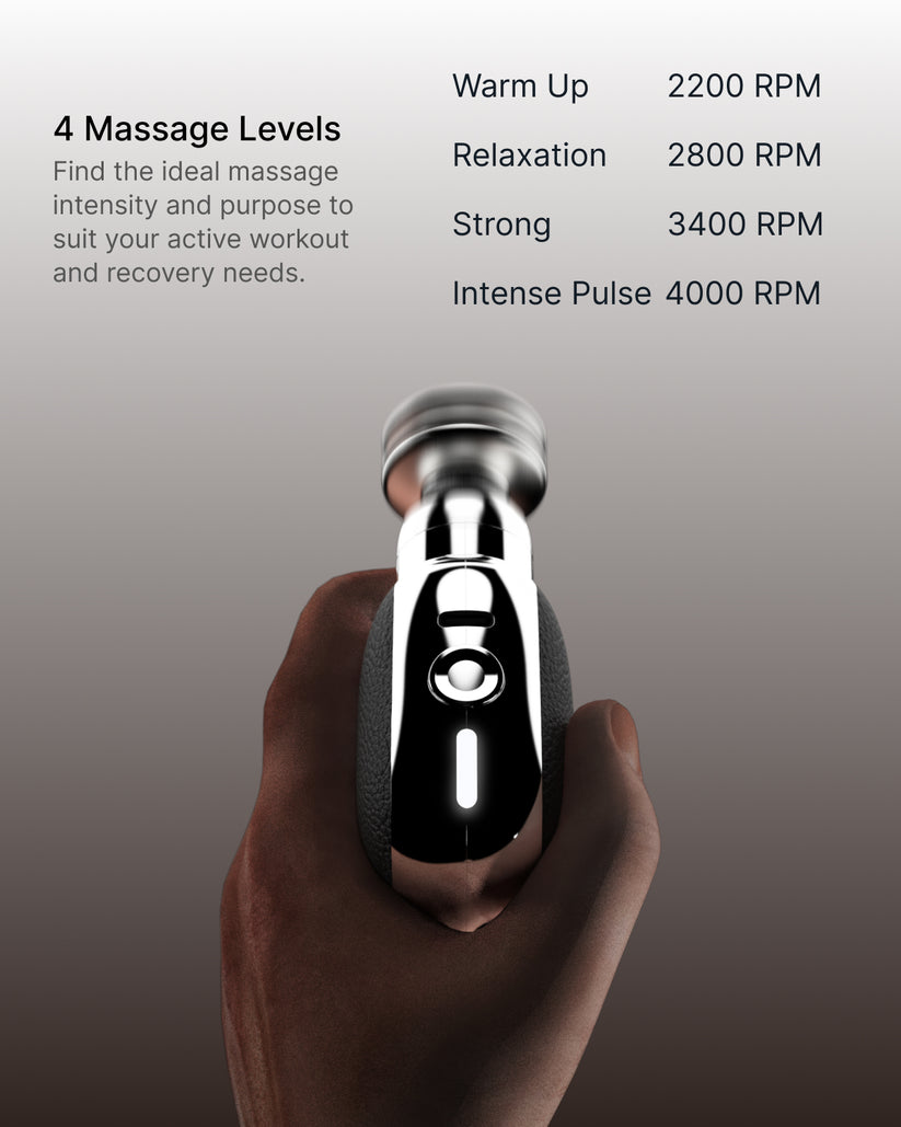 Renpho Micro Massage Gun WMG16