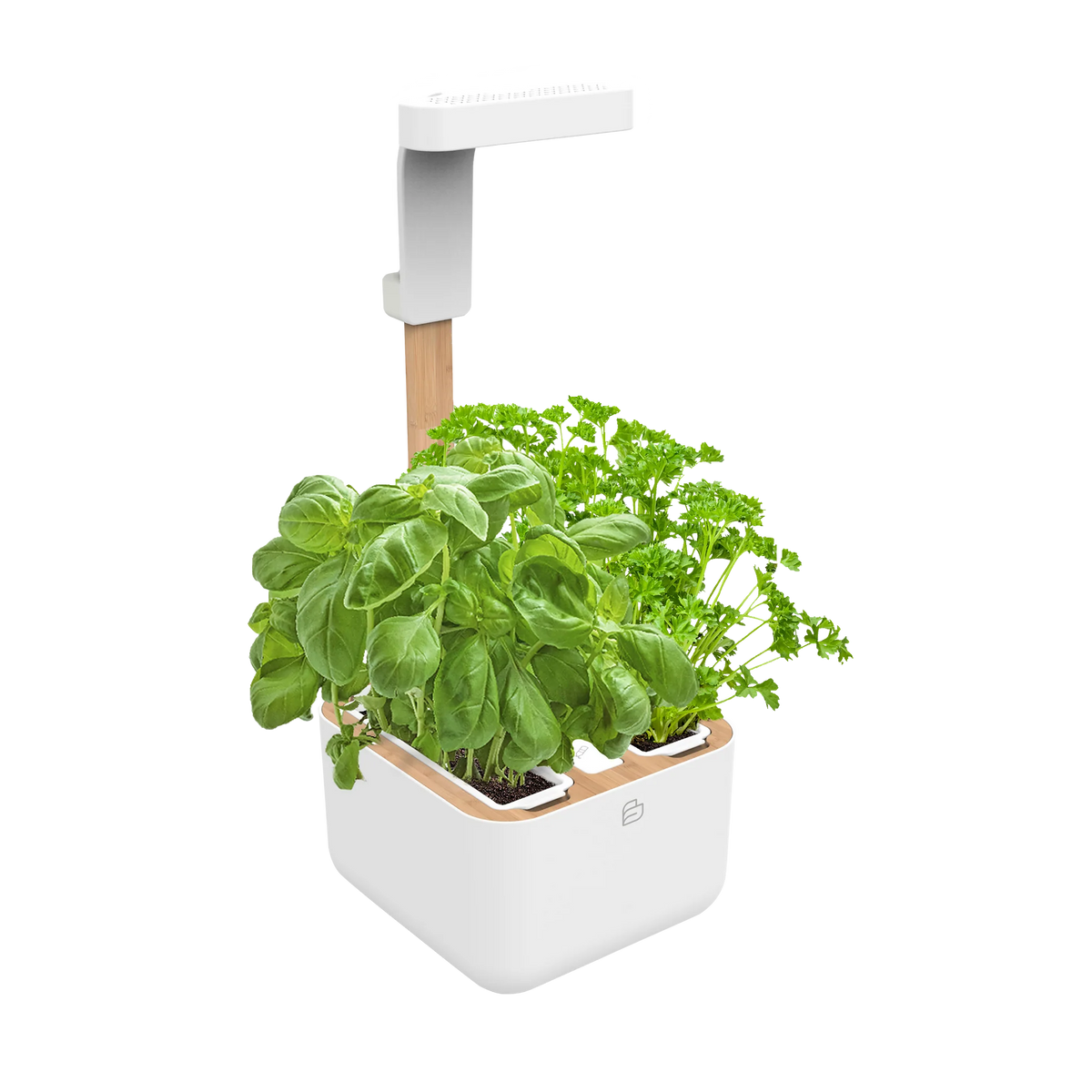 Botaneo® Indoor Garden White