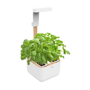 Botaneo® Indoor Garden White