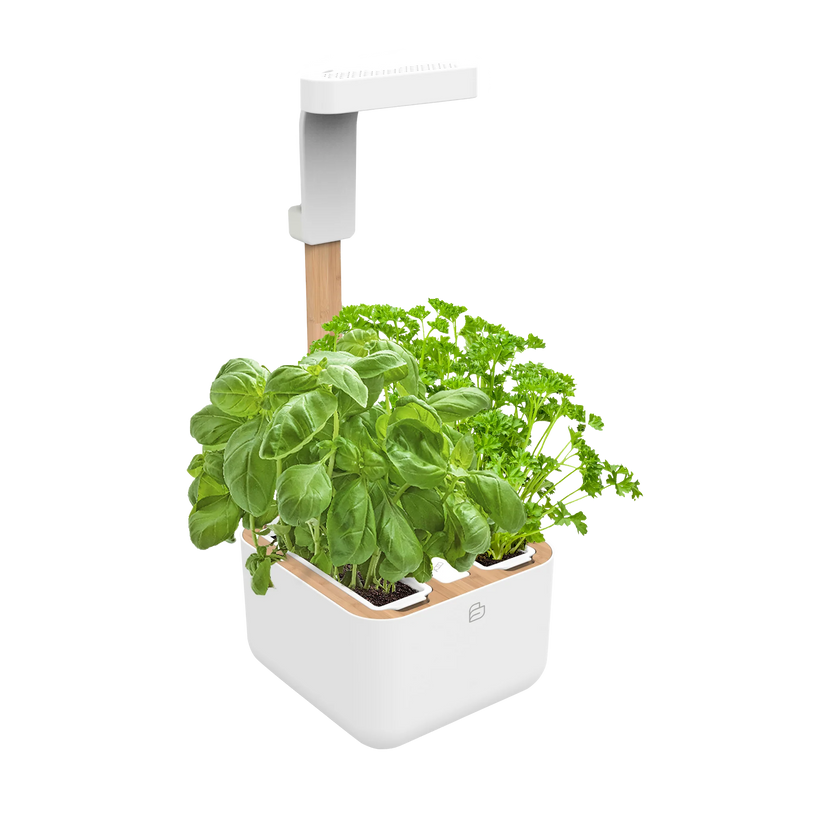 Botaneo® Indoor Garden White