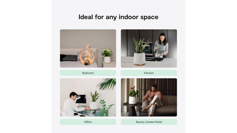 Vitesy  Natede Smart: Natural Air Purifier and Monitoring