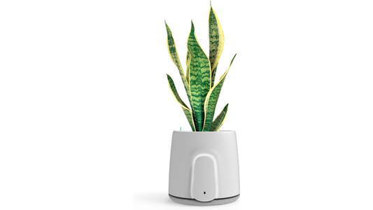 Vitesy  Natede Smart: Natural Air Purifier and Monitoring