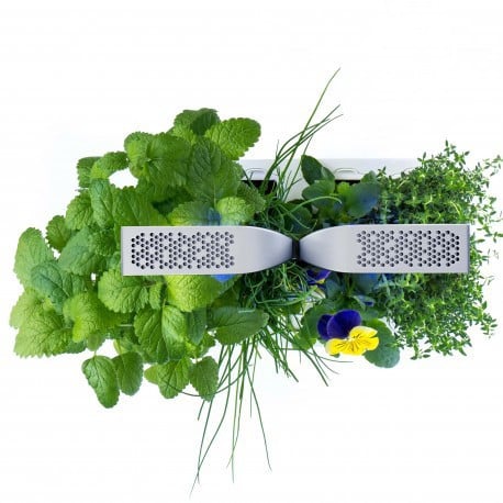 Veritable® SMART