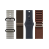 Watch Accessories