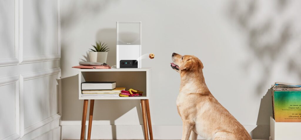 product-connection-bites-2-lite@2x