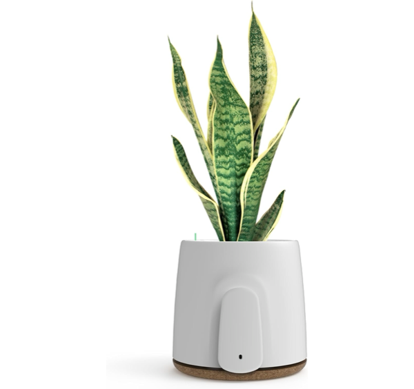 Vitesy  Natede Basic Natural Air Purifier